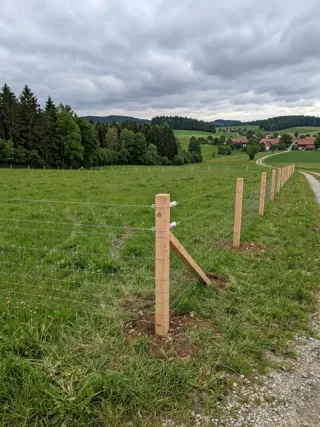 Weidezaun in Kaarst - fachgerechte Ausführung vor Ort