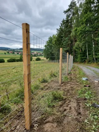 Wildzaun in Kaarst - fachgerechte Ausführung vor Ort
